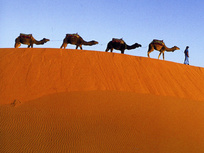 Maroc, grande Bleue, grand désert