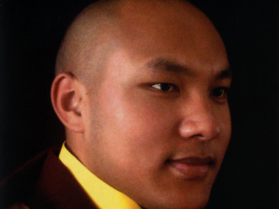 Karmapa : La lignée des êtres éveillés
