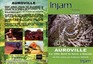 Auroville, la ville dont la terre a besoin