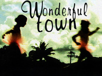 Wonderful town