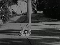 Meshes of the Afternoon