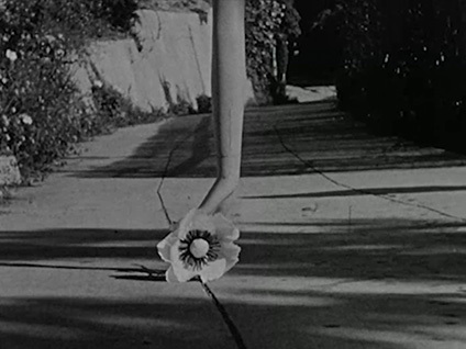 Meshes of the Afternoon