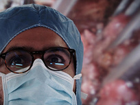 De humani corporis fabrica