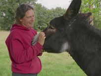 Bienveillance paysanne