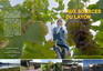 Aux sources du layon