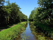 Pêche sur le canal de Berry