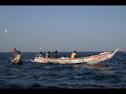 Sénégal, Dakar, Pêcheurs de Soumbédioune