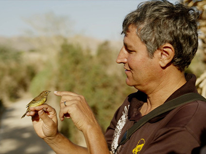 The Battle for the birds : In the skies of Israel