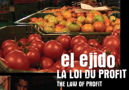 El Ejido - La loi du profit