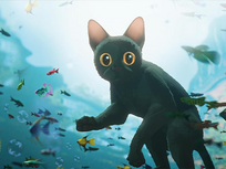 Flow, le chat qui n'avait plus peur de l'eau