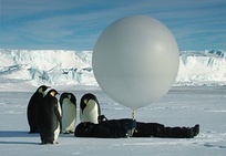 Ice Bound In Antarctica