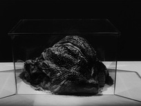 Caltiki, le monstre immortel