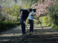 Le Jardin de la Laiterie