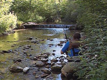 Techniques de pêche de la truite en ruisseau